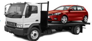 شعار الموقع